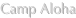 shapeimage_2_link_17